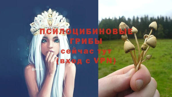 ALPHA PVP Балабаново