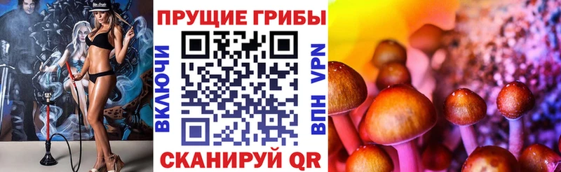 Псилоцибиновые грибы мухоморы  shop клад  Краснослободск 